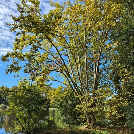 Couleur Ocean דירה