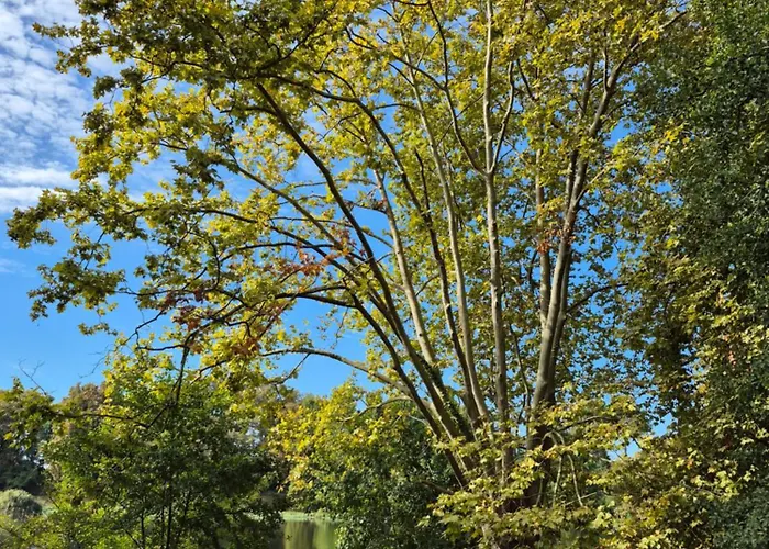 Couleur Océan Appartamento